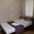 Номер Эконом в отеле Лефортовский дворик