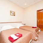 ладомир эконом 