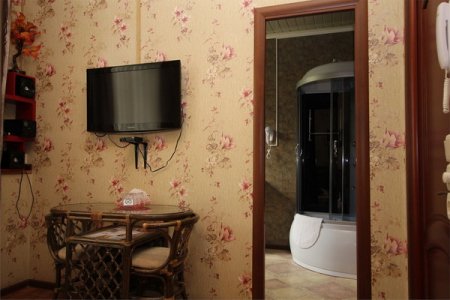 Душевая комната в номере Эконом отеля Лефортовский Дворик