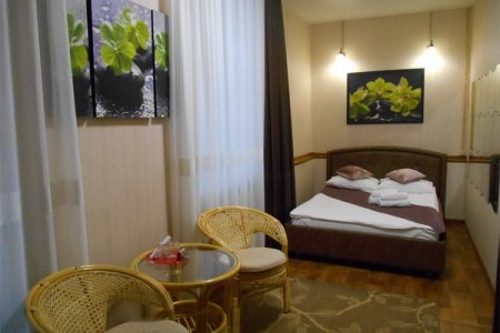 Номер Стандарт в отеле Лефортовский дворик