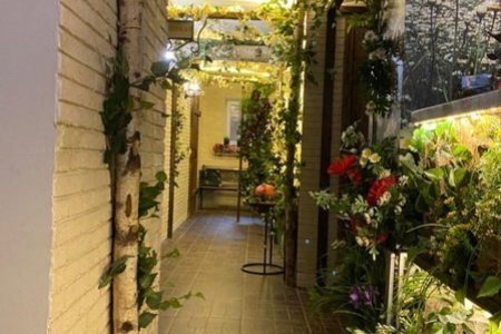 Коридор с живыми растениями в апартаментах Беседка