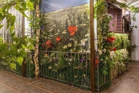 Номер Стандарт в апартаментах Беседка
