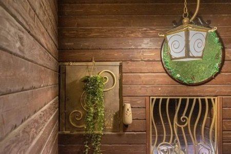 Растения в апартаментах Беседка