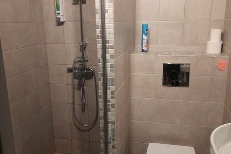 Санузел в номере Стандарт в апартаментах Беседка