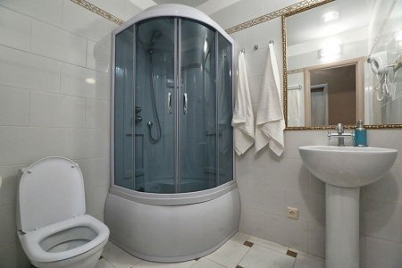 Душевая кабина в номере Комфорт в отеле Elysium hotel