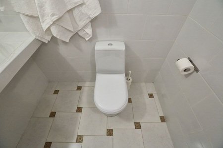 Санузел номера ВИП в отеле Elysium hotel