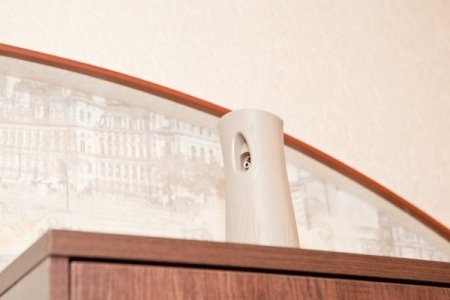 Декор в Полулюксе 2 в отеле Ладомир в Филях