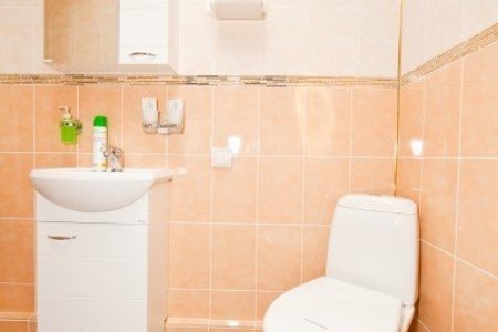 Санузел в номере Полулюкс 1 в отеле Ладомир в Филях