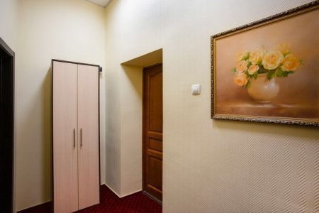 Снять почасовой номер для влюбленных Шкаф в номере Эконом в отеле Базис-М