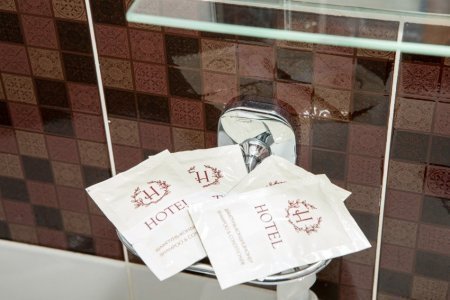 Гигиенические принадлежности в номере Семейный двухкомнатный в Ладомир на Садовом