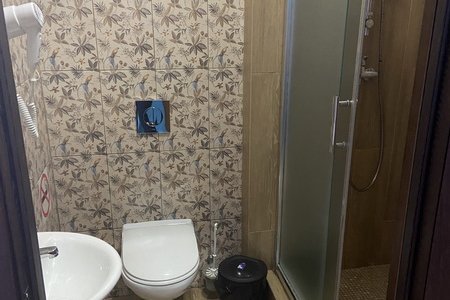 Санузел в номере Стандарт+ Райские птицы в отеле Элитон