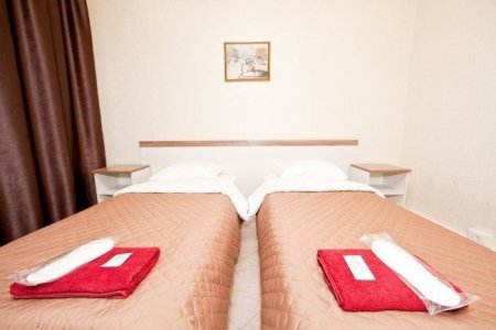 Снять номер для двоих с душем Две кровати в номере Эконом в отеле Ладомир в Борисово