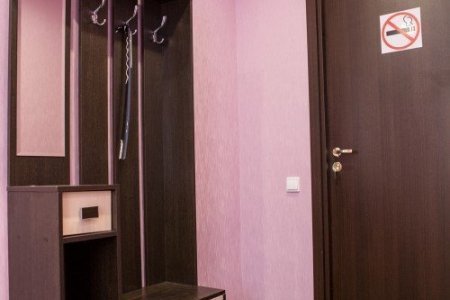 Номер для влюбленных пар у метро — снять прихожая в номере Люкс в отеле Ладомир в Борисово