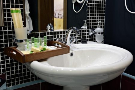 Раковина в номере Комфорт в отеле ЧЕМОДАНОВЪ