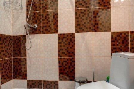 Душ в номере Стандарт в отеле Ладомир на Щелковской