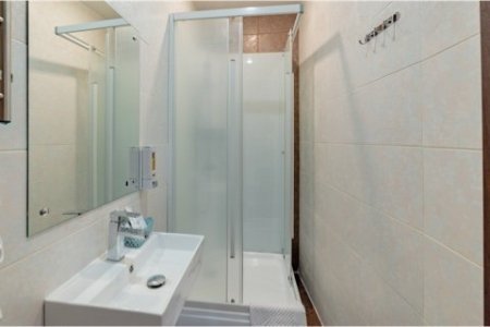 Душ в номере Стандарт Пальма в отеле Гости на Тимирязевской