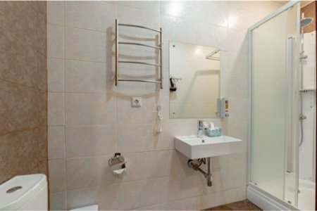 Раковина в номере Стандарт Пальма в отеле Гости на Тимирязевской