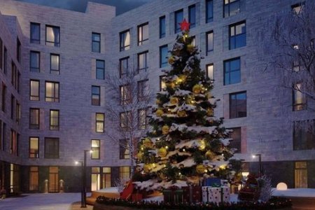 Вид из окна номера Люкс с видом на сад в отеле Viewpoint Hotel