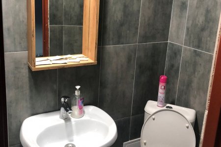 грибоедов-санузел