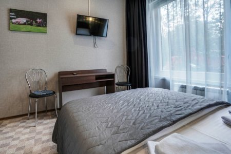 Телевизор в номере Стандарт в отеле Ладомир на Зельевом