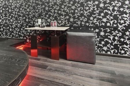 Интерьер номера Премиум Стриптиз в отеле Клюква