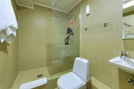 Санузел в номере Полулюкс Glory hole в отеле Клюква