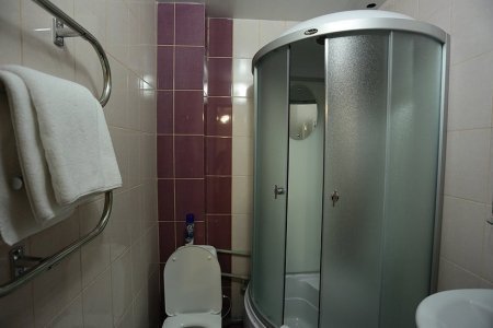 Снять на сутки от 3700 ₽ Душевая в номере Комфорт в отеле Астра