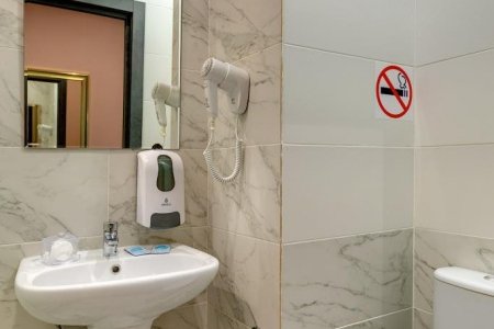 Душевая в номере Люкс Райские птицы в отеле Элитон Братеевская