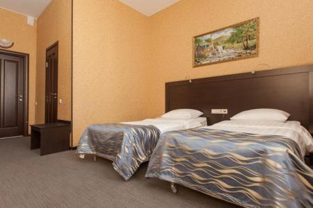 Номер Улучшенный в отеле Регина на Университетской