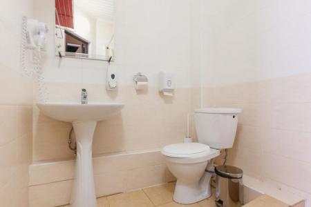 Санузел в номере Стандарт в отеле Регина на Университетской