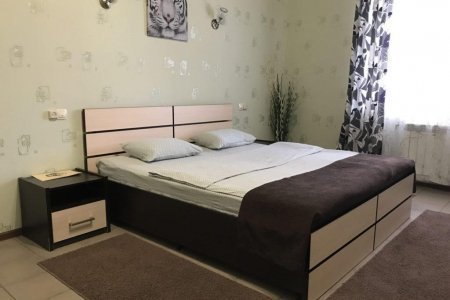 Номер Стандарт+ в отеле Волжский бриз