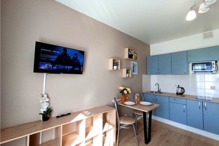 Телевизор в номере New studio na Larushina в The LOFT STUDIO Moscow