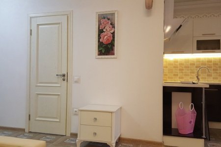 Вид апартаментов 2 в Loft Studio