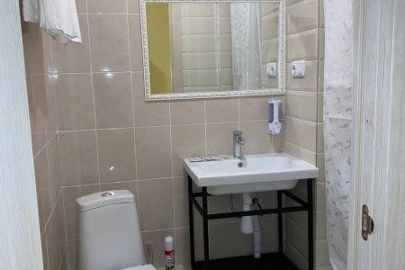 Санузел в номере Стандарт с душем в отеле Апельсин на Вернадского