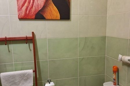 Душевая в номере Комфорт в отеле Лев