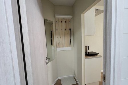 Прихожая в номере 1 The Loft Studio Котельники