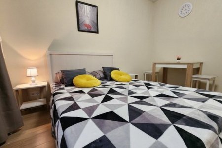 Спальное место в апартаментах 1 в The Loft Studio у метро Котельники