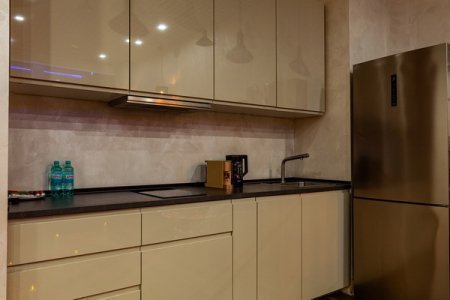 Кухня в номере 016 Апартаменты в Де Арт Москва-Сити