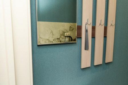 Интерьер номера Эконом в отеле Орфей