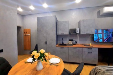 Кухонный уголок в номере Сириус в LOFT SPACE