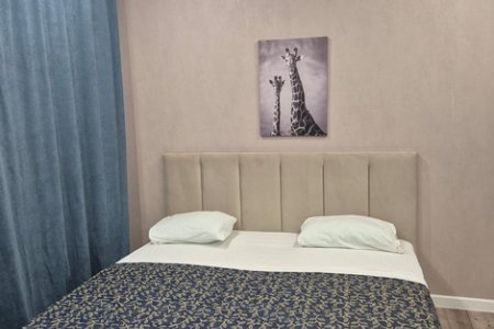 почасовые апартаменты 18