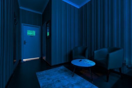 делюкс номер 11