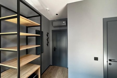 Прихожая в Стандартном двухместном номере в апартаментах Кауфман Хаус