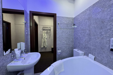 номер делюкс 5