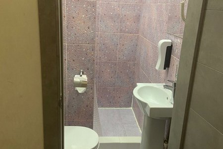 Забронировать Стандарт Зеркальный на ночь Душевая кабина в номере Зеркальный Стандарт в отеле Элитон Жулебино