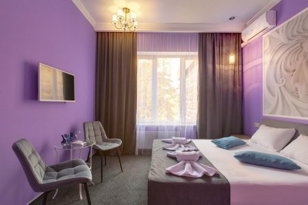 Забронировать Люкс от 1300 ₽ Интерьер номера Люкс Афина в отеле Элитон Жулебино