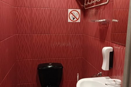 Забронировать Люкс - посмотреть цены Санузел в номере Люкс Фортуна в отеле Элитон Жулебино