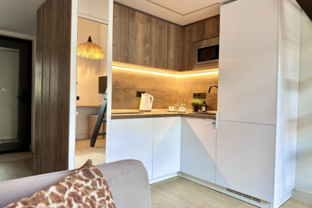 Кухня в номере Studio Suite в Prive Luna