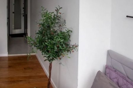 Интерьер студии 17,2 м² в апартаментах Москва-Сити