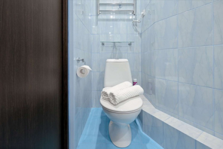 Санузел в номере Комфорт в РОС Отель Измайлово